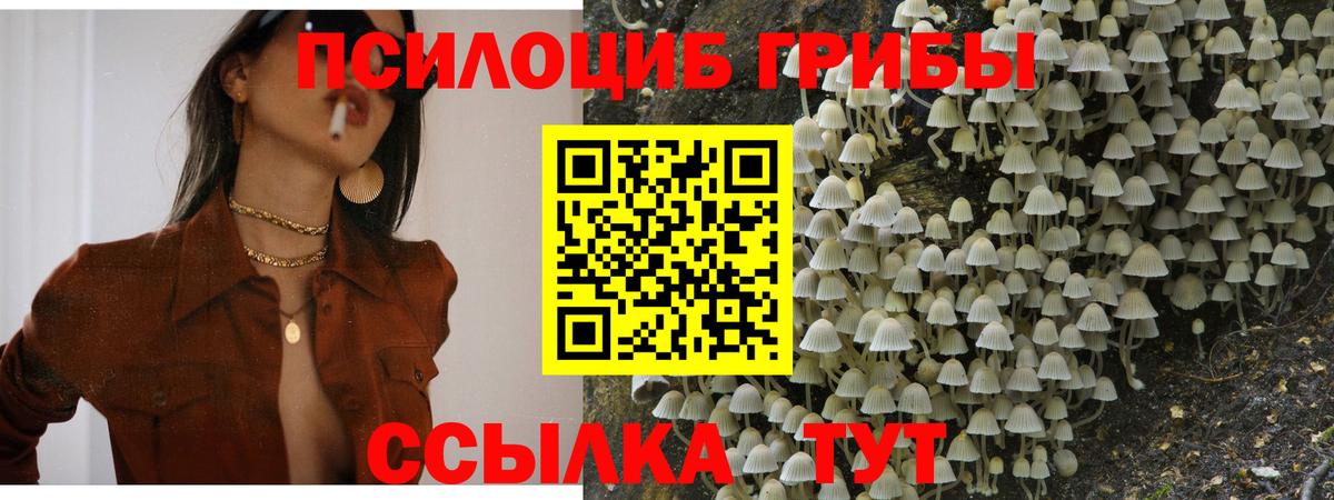 Псилоцибиновые грибы мухоморы  Галлюциногенные грибы Psilocybe  Казань  Вход с VPN 