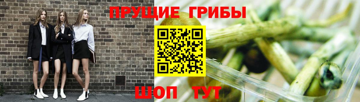 Галлюциногенные грибы MAGIC MUSHROOMS Казань